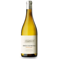 Finca Calvestra Magnum