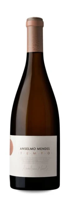 Anselmo Mendes Tempo 2017