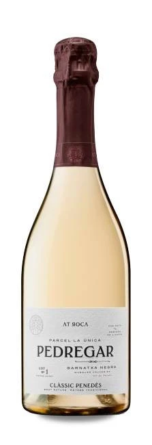 AT Roca Pedregar 2016