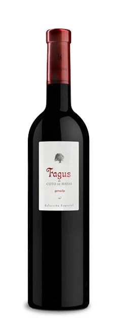 Fagus 2020