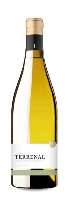 Finca La Terrenal D'Edetària 2019