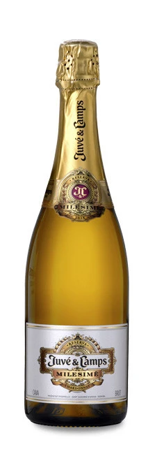 Juvé & Camps Milésimé 2018