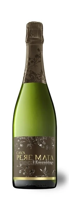 Pere Mata L'Ensamblatge 2012