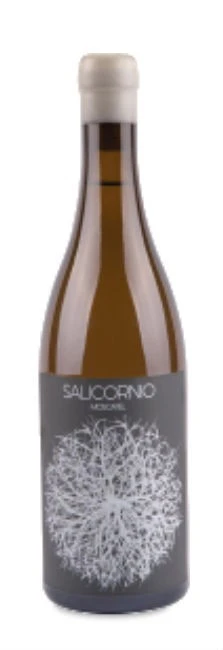 Salicornio Moscatel 2021
