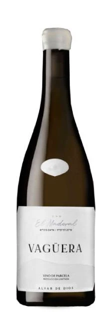 Vagüera 2021